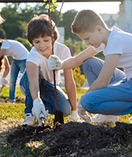kids planting tree