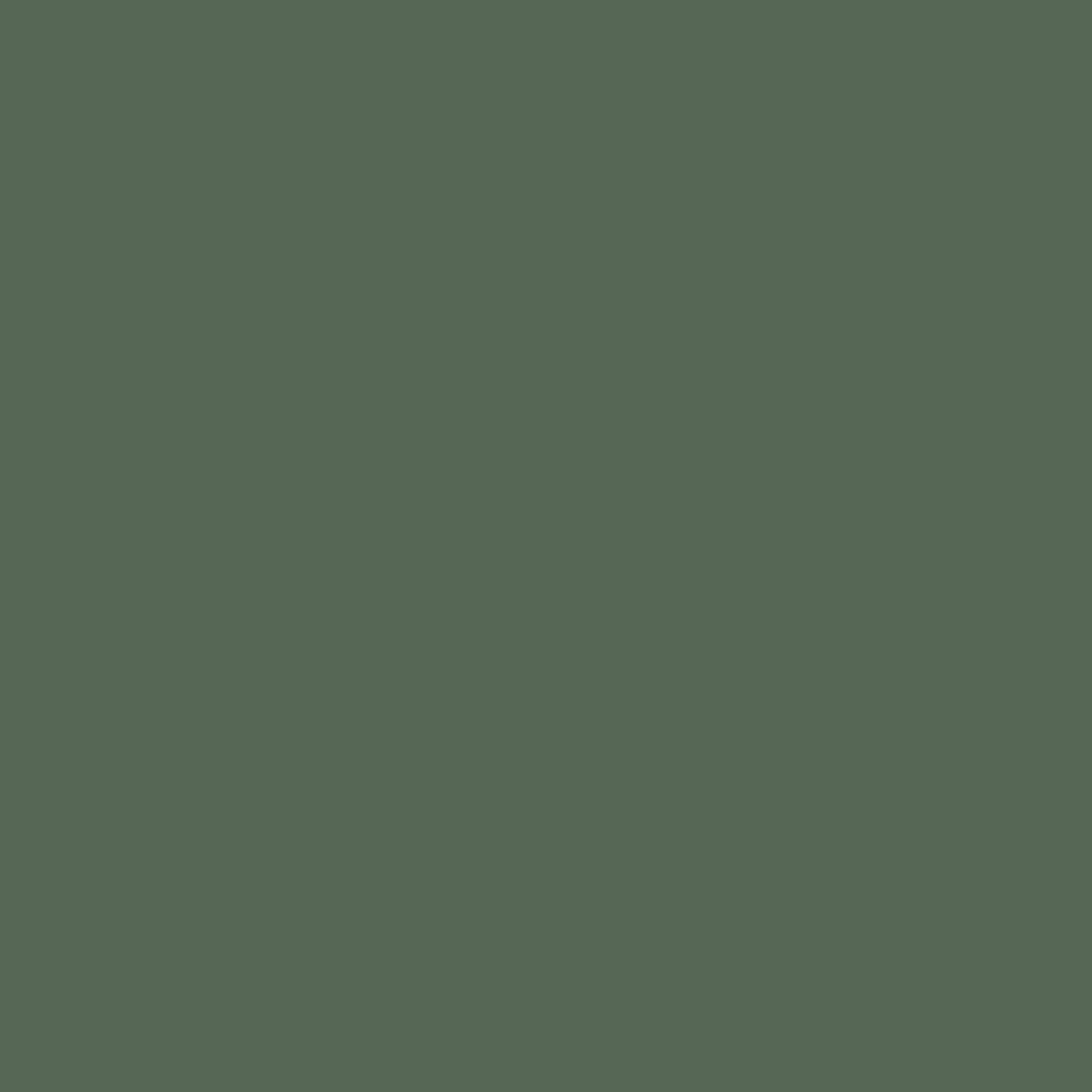 Olive Ultra Matte Acrylic