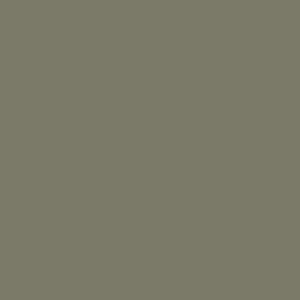 Olive Paint on Paintable