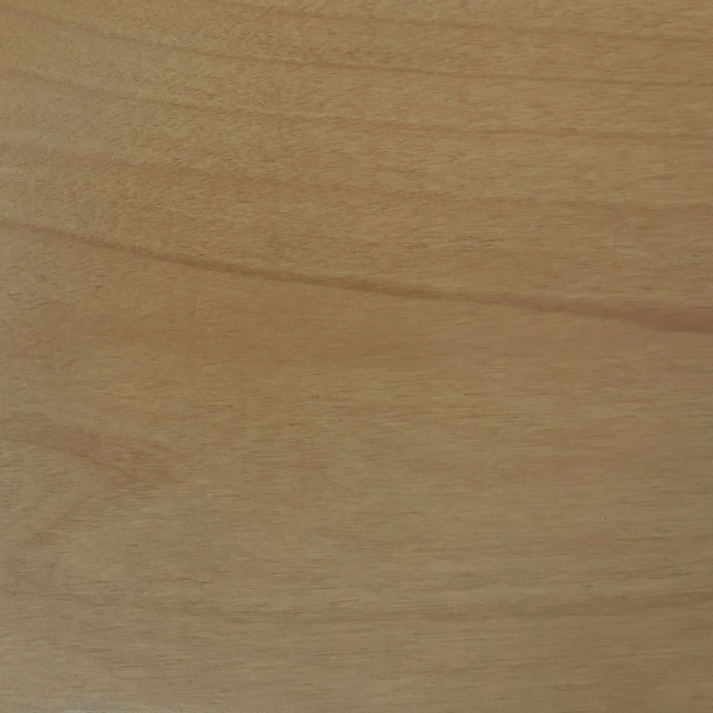 Cashew Stain on Alder
