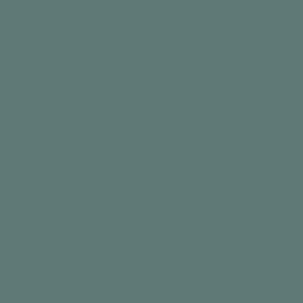 Agave Paint on Paintable