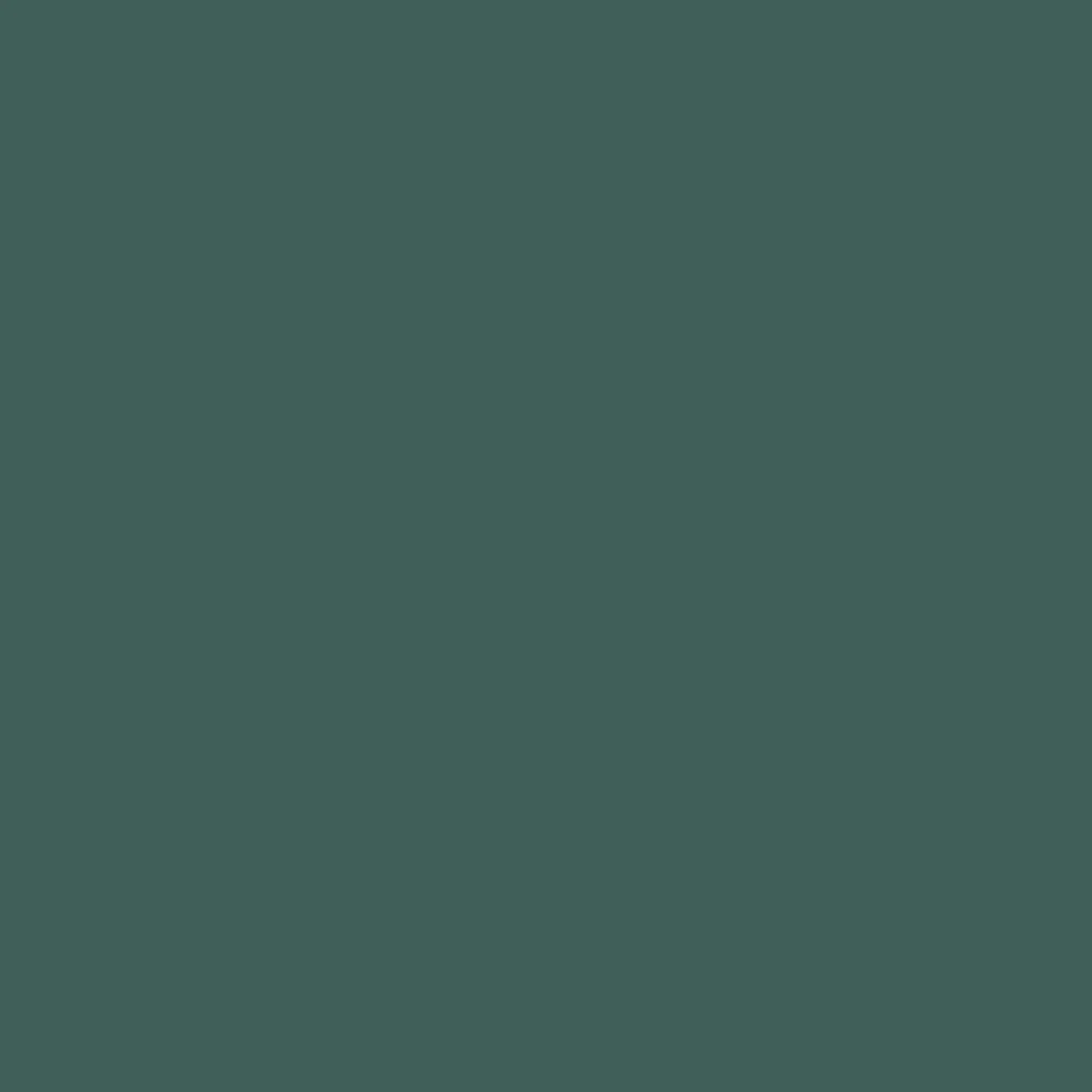 Juniper Paint on Paintable